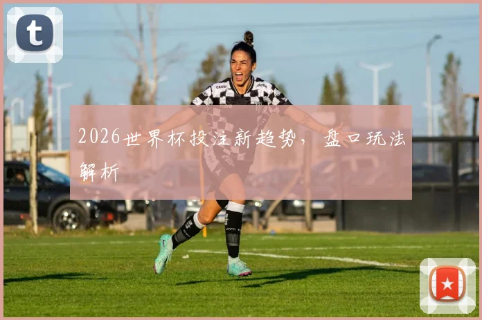 2026世界杯投注新趋势,盘口玩法解析
