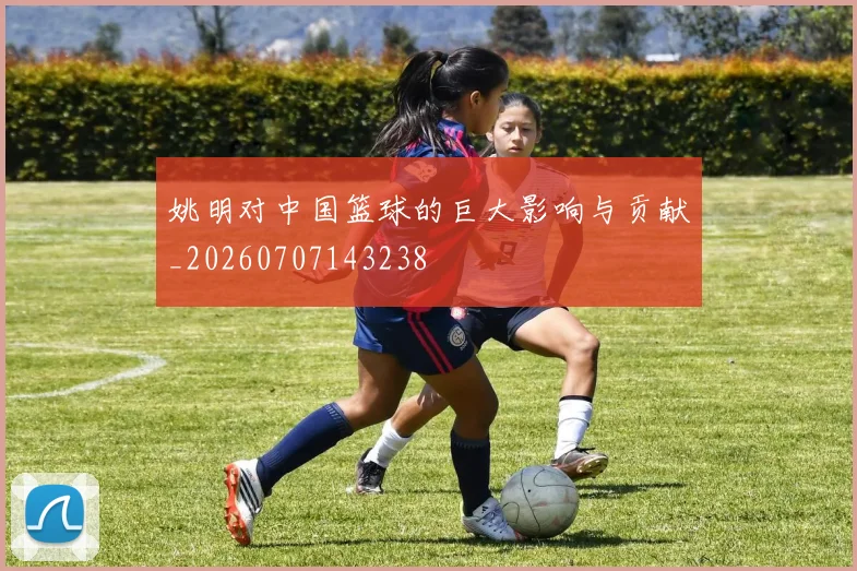 姚明对中国篮球的巨大影响与贡献_20260707143238